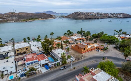 43 Viznaga, Bahia