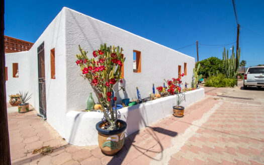 189 Colorado, Tecalai