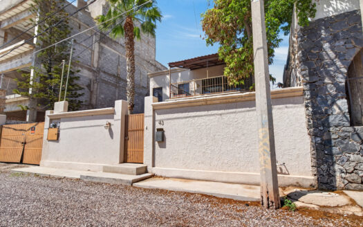43 VIZNAGA, BAHIA