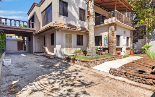 43 VIZNAGA, BAHIA